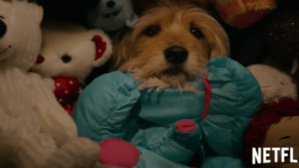 películas de Navidad con perros