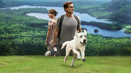 Le film "chien perdu" avec Rob Lowe