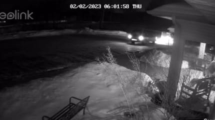 Abandon devant le refuge