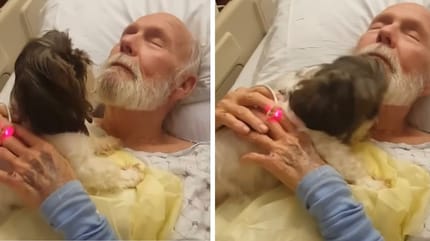 uomo anziano in ospedale abbraccia cane