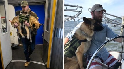 pastore tedesco su volo aereo militare con proprietario