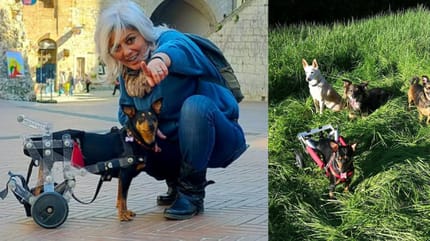 eliana martorano con cane paralizzato