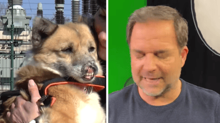Rütter und der verätzte Hund