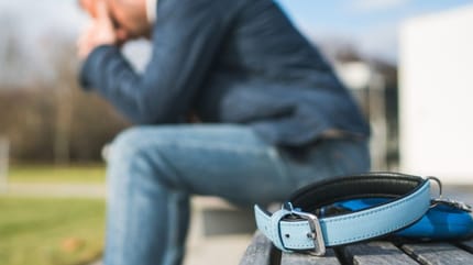 cane morto: padrone piange con accanto collare di animale che non c'è più