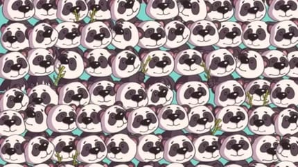 perro escondido entre pandas