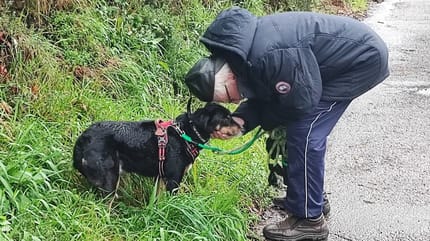 man kissing black and tan dog