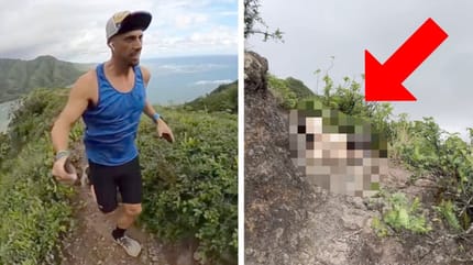 Marathonläufer rettet Hund