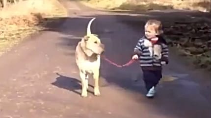 Kind und Hund gehen Gassi