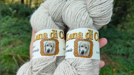 Wolle aus Hundehaaren