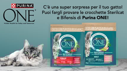 gatto con crocchette PURINA ONE® Bifensis