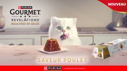 GOURMET® REVELATIONS® Bouchées en Gelée : l'élégance au service du plaisir félin