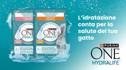 Sacchetto Hydralife con gatto
