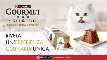 Gatto bianco si lecca i baffi davanti alla piramide di GOURMET™ REVELATIONS™ Bocconcini in Gelée