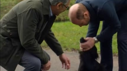 Prince William's dog Orla steals the show during TV interview