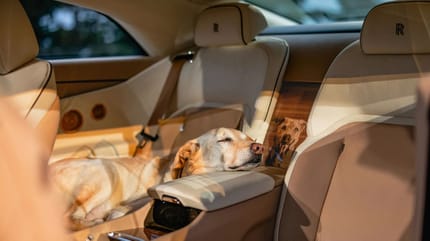 Bailey hat einen eigenen Rolls Royce