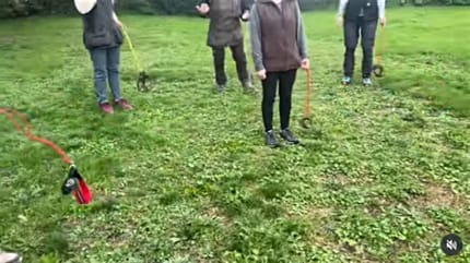 Teilnehmer beim Hobby Dogging