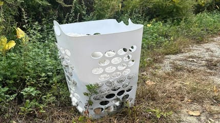 Una mujer descubre una cesta abandonada