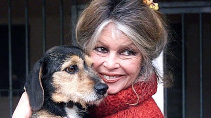 Brigitte Bardot mit Dackel
