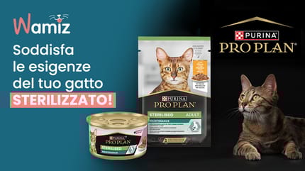 Scopri l'alimentazione per il benessere del tuo gatto sterilizzato con l'esclusivo kit PURINA® PRO PLAN® Sterilised!