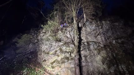 Hunderettung am Berg