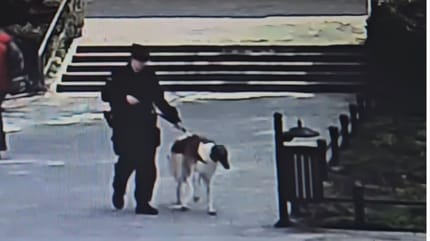 pies i policjant