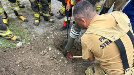 Pies utknął w przepuście drogowym. Strażacy walczyli o jego życie przez wiele godzin