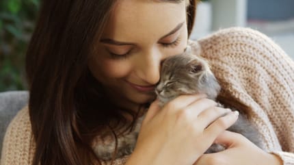 accueillir un chaton