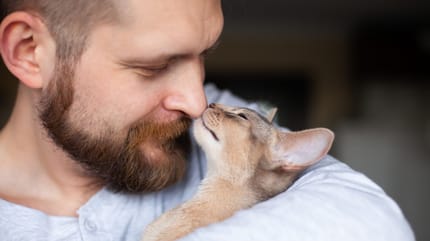 adopter chaton chat