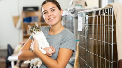 adoption chat refuge
