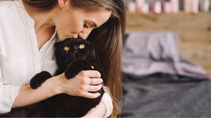 adottare un gatto nero