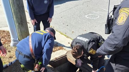 Tierheim-Mitarbeiter