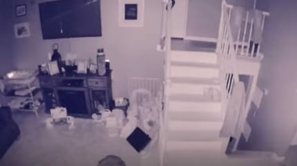 aparicion perro fantasmal