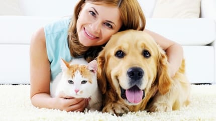 L’assurance animaux, la solution pour payer moins cher