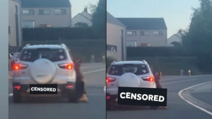 Coche arrastra perro muerto detrás