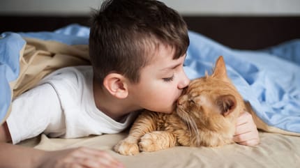 Bienfaits chat avec enfants