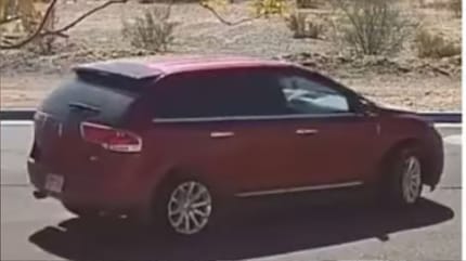 Bilder aus dem Video des Hundes