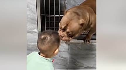 Enfant avec un chien