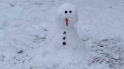 Bonhomme de neige