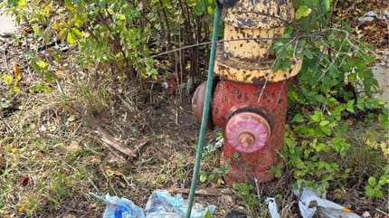 Fire hydrant