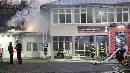 Brand im Tierheim Freiburg