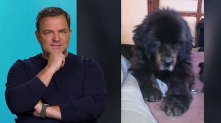 Brunos Fall schockt Martin Rütter