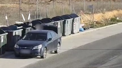 cachorros-arrojados-contenedor-basura-villarrobledo-albacete