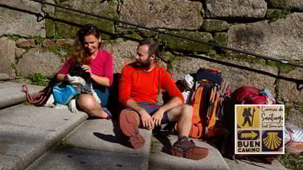 camino-de-santiago-con-perro