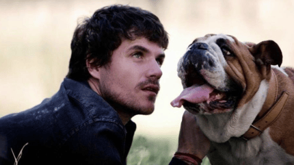 Canciones dedicadas a perros en español