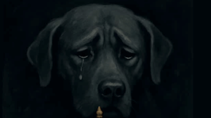 cane cerca giustizia