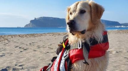 Cane soccorre due turisti
