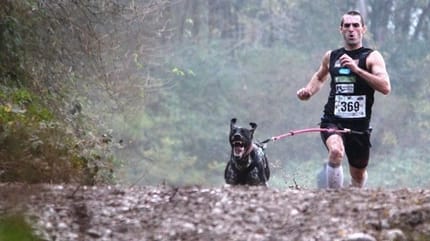 Le canicross, ce sport qui a du chien !