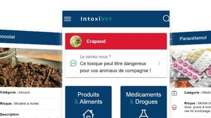 application IntoxiVet