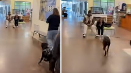 Screen z filmiku z psem