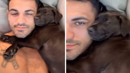 Captures de la vidéo du chien